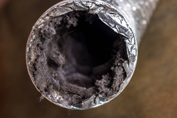 Best Local Air Duct Cleaning Services  in Munhall, PA
