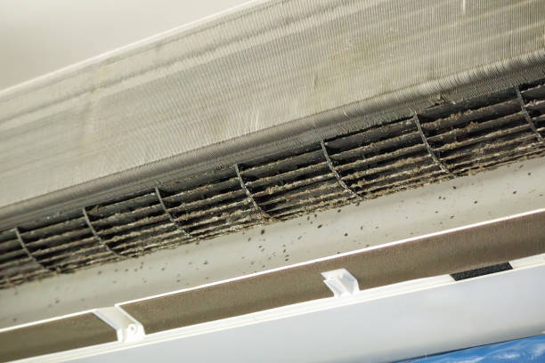 Best Residential Air Duct Cleaning  in Munhall, PA